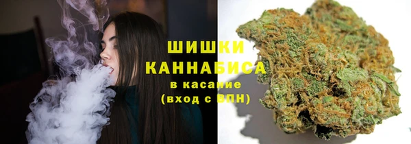 шишки Арсеньев