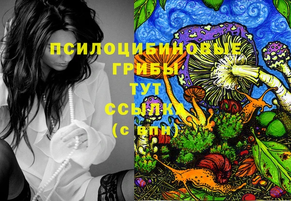 гашиш Аркадак