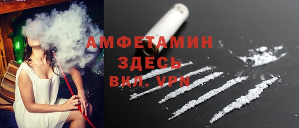 шишки Арсеньев