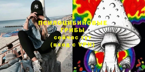 шишки Арсеньев