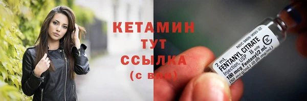 шишки Арсеньев
