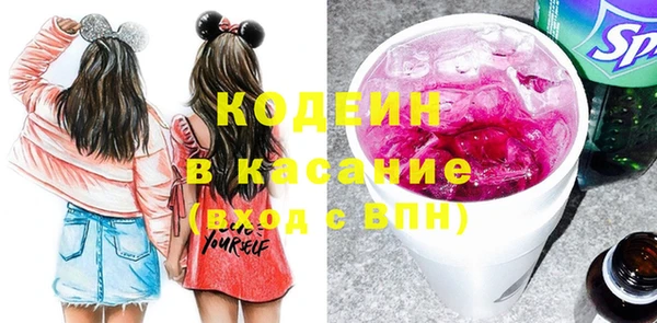 шишки Арсеньев