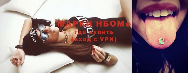 шишки Арсеньев