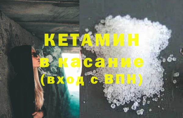 шишки Арсеньев