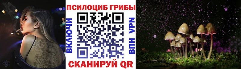 Галлюциногенные грибы Magic Shrooms цена наркотик blacksprut ссылка Тейково